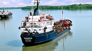 Valdivia